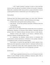 "N" įmonės vystymosi strategija 19 puslapis