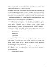 "N" įmonės vystymosi strategija 3 puslapis