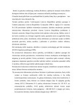 "N" įmonės vystymosi strategija 6 puslapis