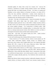 "N" įmonės vystymosi strategija 7 puslapis