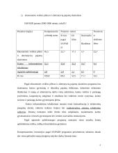 "N" įmonės vystymosi strategija 9 puslapis