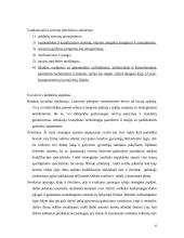 "N" įmonės vystymosi strategija 10 puslapis