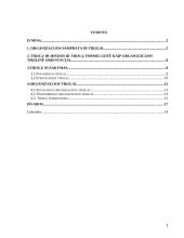 Organizacijos strateginių tikslų nustatymas