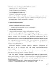 Organizacijos strateginių tikslų nustatymas 11 puslapis