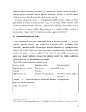 Organizacijos strateginių tikslų nustatymas 12 puslapis