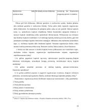 Organizacijos strateginių tikslų nustatymas 13 puslapis