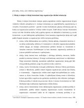 Organizacijos strateginių tikslų nustatymas 4 puslapis