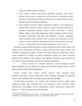 Organizacijos strateginių tikslų nustatymas 5 puslapis