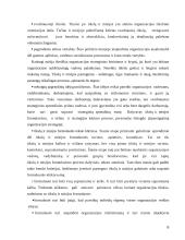 Organizacijos strateginių tikslų nustatymas 6 puslapis