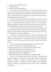 Planavimo metodologijų analizė 15 puslapis