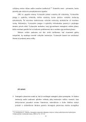 Planavimo metodologijų analizė 19 puslapis