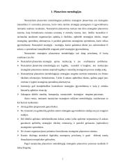 Planavimo metodologijų analizė 3 puslapis
