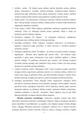 Planavimo metodologijų analizė 4 puslapis