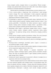 Planavimo metodologijų analizė 5 puslapis