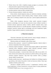 Planavimo metodologijų analizė 7 puslapis