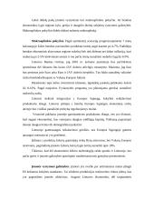 Strateginis valdymas ir prognozavimas 17 puslapis