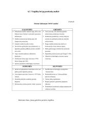 Strateginis valdymas ir prognozavimas 20 puslapis