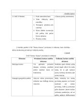 Strateginis valdymas ir prognozavimas 6 puslapis