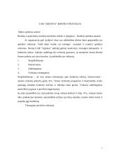 Strateginis įmonės valdymas  2 puslapis