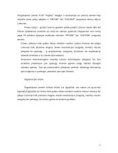 Strateginis įmonės valdymas  11 puslapis