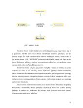 Strateginis įmonės valdymas  12 puslapis