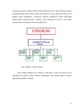 Strateginis įmonės valdymas  14 puslapis