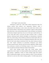 Strateginis įmonės valdymas  15 puslapis