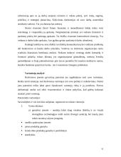 Strateginis įmonės valdymas  16 puslapis