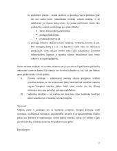 Strateginis įmonės valdymas  17 puslapis