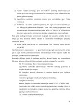 Strateginis įmonės valdymas  18 puslapis