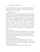 Strateginis įmonės valdymas  4 puslapis