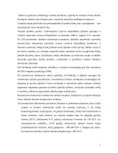 Strateginis įmonės valdymas  5 puslapis