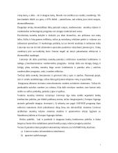 Strateginis įmonės valdymas  7 puslapis