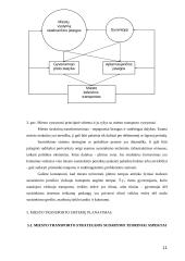 Miesto visuomeninis transportas 11 puslapis