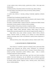 Miesto visuomeninis transportas 13 puslapis