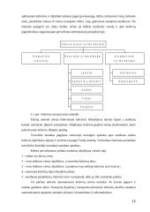 Miesto visuomeninis transportas 15 puslapis