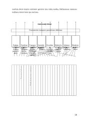 Miesto visuomeninis transportas 18 puslapis