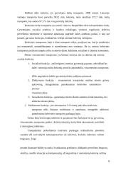 Miesto visuomeninis transportas 3 puslapis