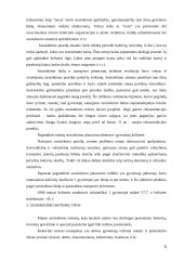 Miesto visuomeninis transportas 5 puslapis