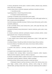 Visuomeninio transporto plėtra 12 puslapis