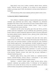 Visuomeninio transporto plėtra 13 puslapis