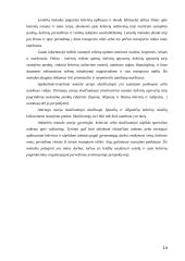 Visuomeninio transporto plėtra 14 puslapis