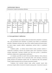 Visuomeninio transporto plėtra 18 puslapis