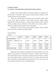 Visuomeninio transporto plėtra 20 puslapis