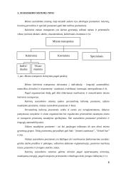 Visuomeninio transporto plėtra 6 puslapis