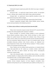 Visuomeninio transporto plėtra 8 puslapis