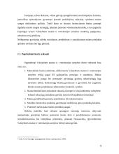 Valstybinės maisto ir veterinarijos tarnybos strateginis planas 5 puslapis