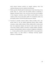 Valstybės įvaizdžio kūrimas 13 puslapis