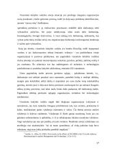 Kokybės valdymo sistemos pagal LST EN ISO 9000 serijos standartą 17 puslapis