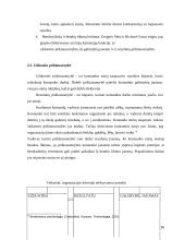 Organizacijos veiklos kokybės gerinimas organizuojant komandinį darbą 16 puslapis